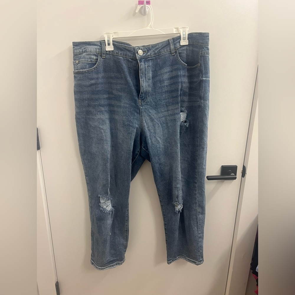 Eloquii Denim jeans